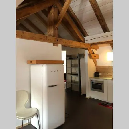 Loft 100m2, Im Oekohaus In