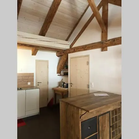 Apartament Loft 100m2, Im Oekohaus In *