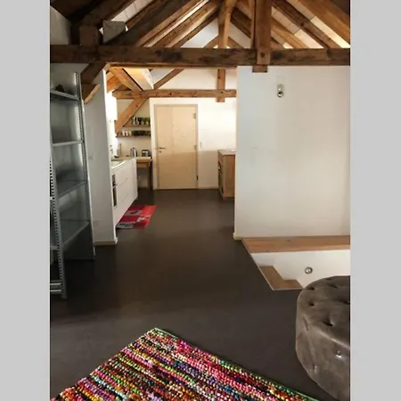 Apartament Loft 100m2, Im Oekohaus In Susch