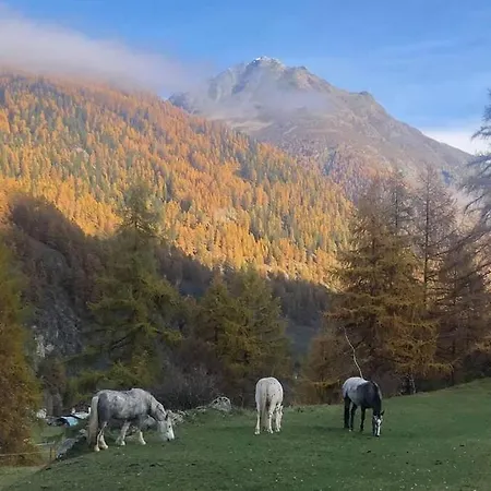 Loft 100m2, Im Oekohaus In Apartmán *