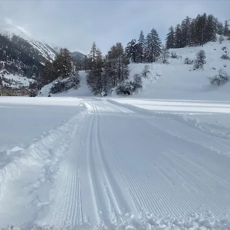 Loft 100m2, Im Oekohaus In