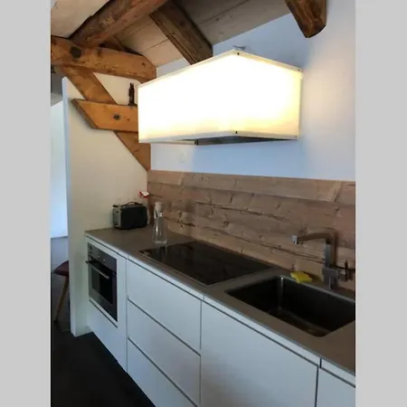 Appartement Loft 100m2, Im Oekohaus In