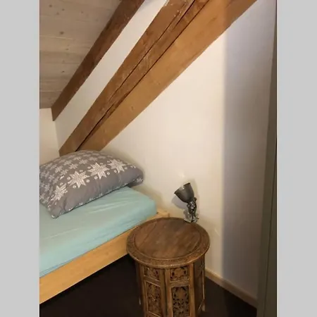 Appartement Loft 100m2, Im Oekohaus In Susch