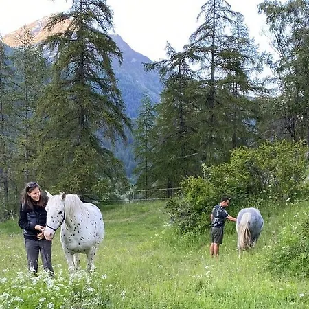 Loft 100m2, Im Oekohaus In Апартаменты Сур