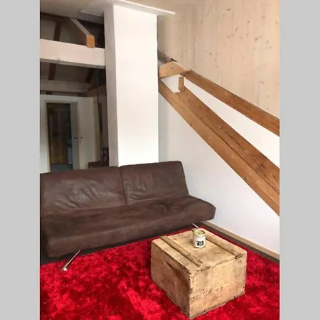 Loft 100m2, Im Oekohaus In