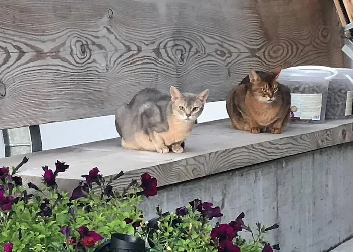 Apartment Loft 100m2, Im ökohaus In *